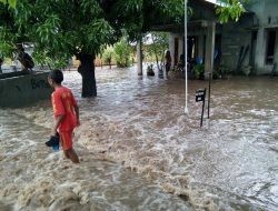 54 Rumah Di Maumere Terendam Banjir
