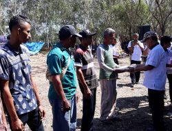 Dinas Peternakan Kabupaten Kupang Selenggarakan Kontes Ternak