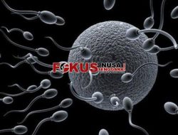 Para Ahli Dunia Temukan Virus Korona Dalam Sperma Pasien Covid-19