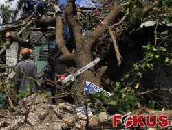 BNPB Pusat Belum Cairkan Dana Stimulan Perbaikan Rumah Rusak Dampak Seroja