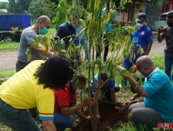 Peringati Hari Guru, Wali Kota Kupang Tanam Pohon Bersama Para Guru Di Taman Nostalgia