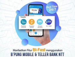 BI Bekukan Sejumlah Produk Layanan Online Bank NTT Karena Tak Berizin